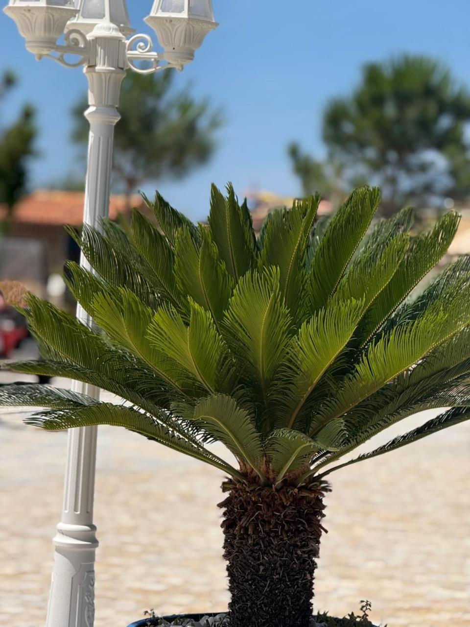 Grand By Greccia Dhermi Prime 5* Himarë